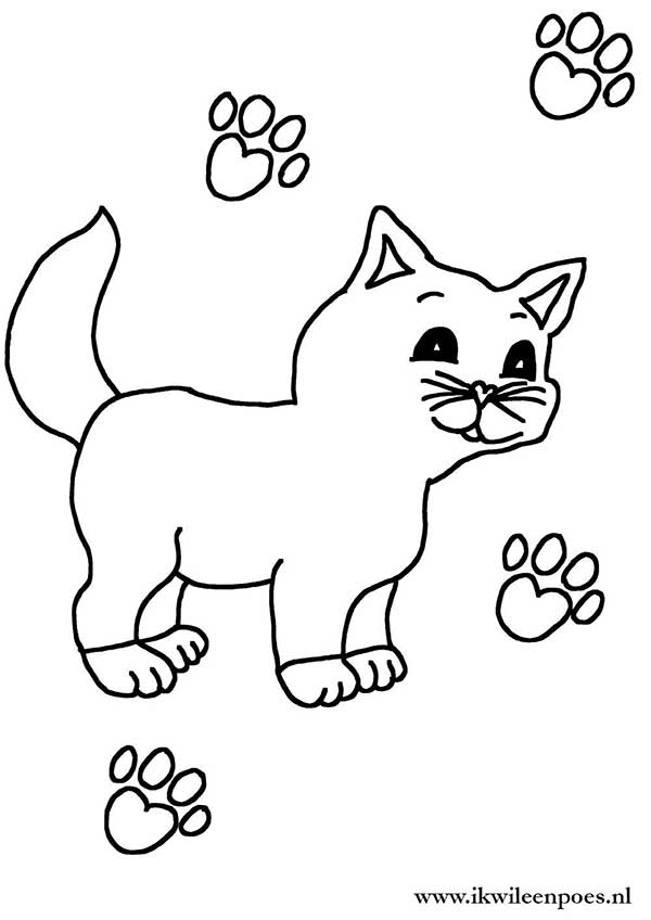 Kleurplaat poes pootafdrukken